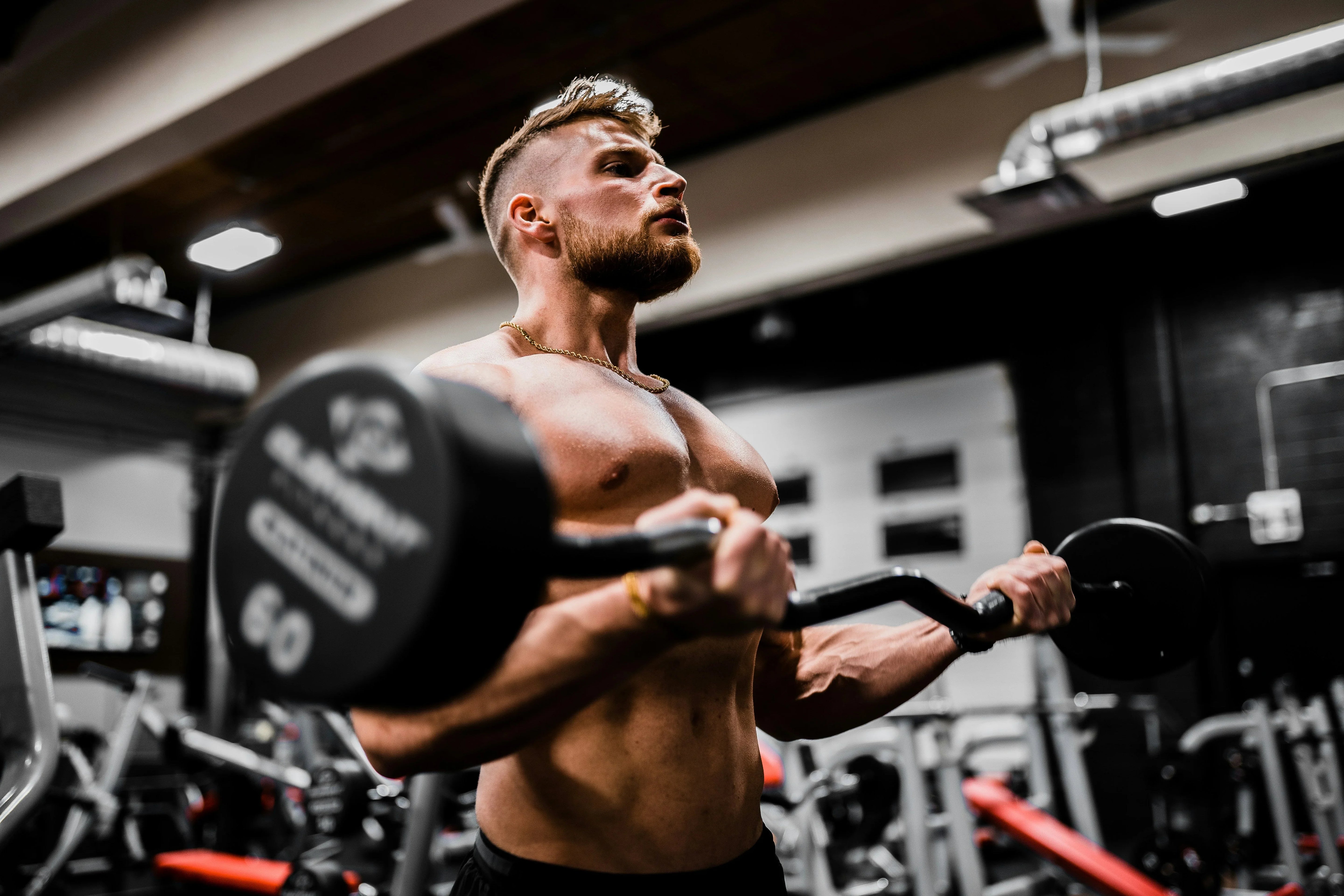 Whey Protein: The Ultimate Guide to Usage, Benefits, and Types