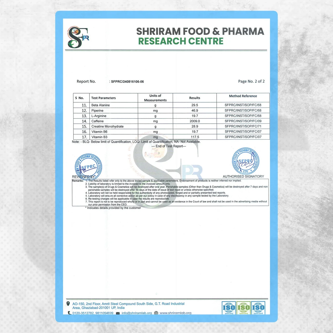 Muscle Club Amplifier Pre workout | Pre-workout Supplement Supports to Improve Focus, Strength, Energy | Beta Alanine, Caffeine, Creatine, L-Arginine, & Vitamin B3 - Muscle Club